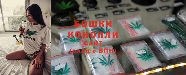 прущие грибы Аркадак