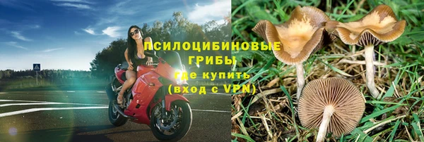 a pvp Алексеевка