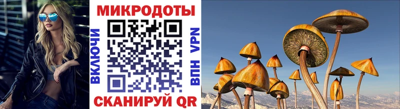 Псилоцибиновые грибы MAGIC MUSHROOMS  Сунжа 