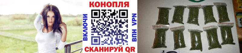 закладки  Сунжа  кракен как войти  Канабис планчик 